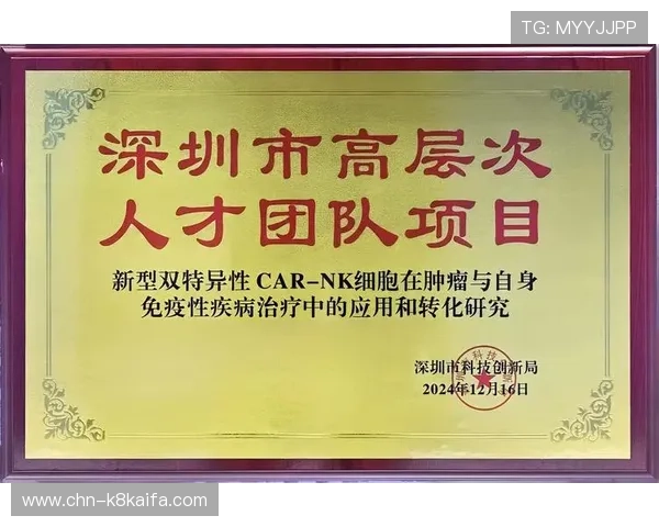 凯发足球官网首页入口：安全访问凯发足球官网入口的常见问题与解决方案